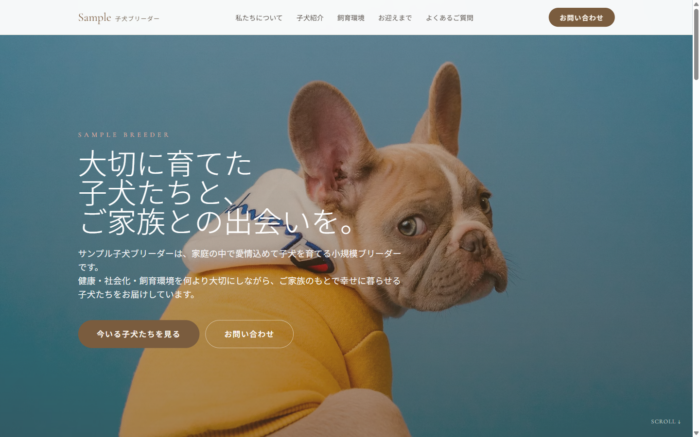 子犬紹介サイト
